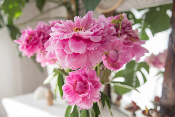 A bouquet of beautiful peonies in a home interior © Olga Tkacheva