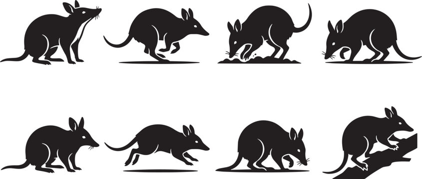 Mongolian gerbil, gerbils, black silhouette icons, rodent set, 8 animal graphics isolated on Transparent Background