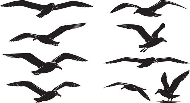 Black bird silhouettes, flying birds, flock icons, vector graphics isolated on Transparent Background