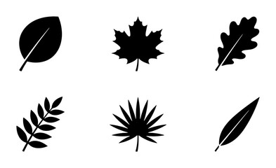 Fototapeta premium Black Leaf Icons Set, Botanical Vector Graphics, Nature Elements Collection, Autumn Fall Foliage Silhouettes