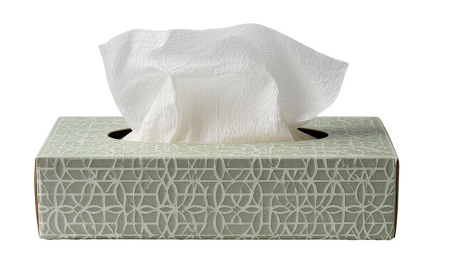 Decorative tissue box with white tissues emerging from opening