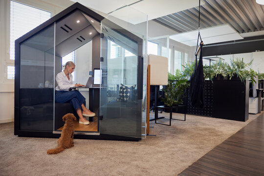 Woman works on laptop in office telephone booth with toy poodle