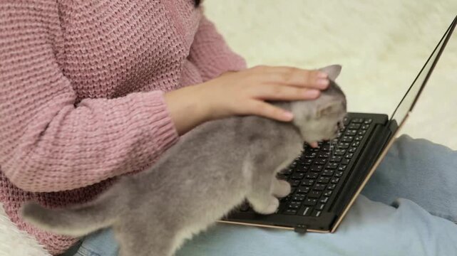 female hands typing on a laptop