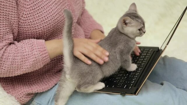 female hands typing on a laptop