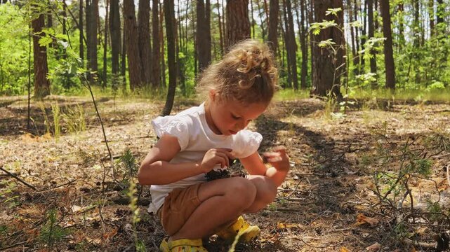 A child sits on the ground in a forest, looking closely at something small in their hands. Sunlight shines through the trees, creating a warm scene