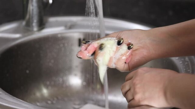Hand rinsing a kitchen sponge under running water in a stainless steel sink