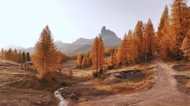 Bunch of trees with orange colored leaves. Croda da Lago mountain at background, majestic landscape at autumn time.