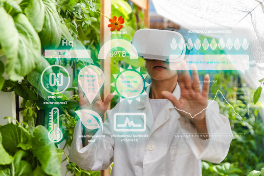 Woman scientist analyzes agricultural data using virtual reality