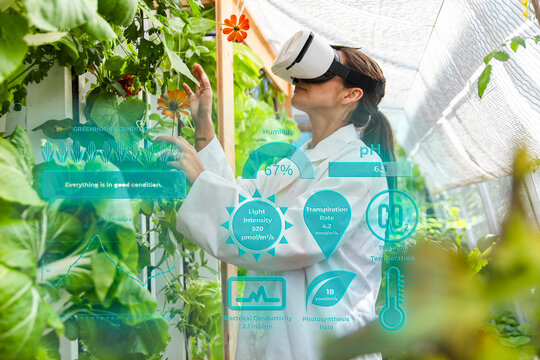 Female scientist uses virtual reality for smart farming in greenhouse