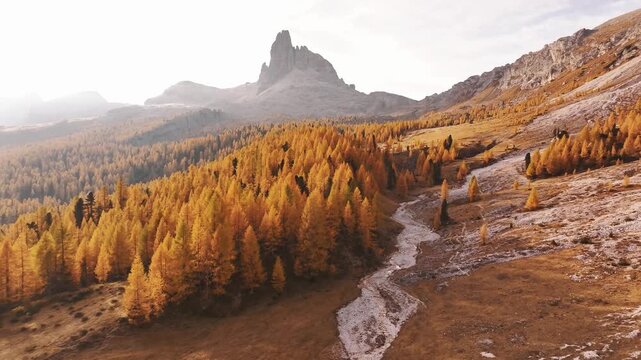 Picturesque yellow larches orange colored. Croda da Lago mountain at background, majestic landscape at autumn time.
