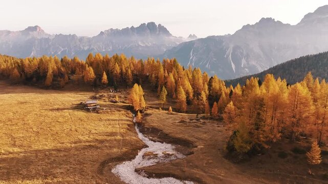 Picturesque yellow larches orange colored. Croda da Lago mountain at background, majestic landscape at autumn time.
