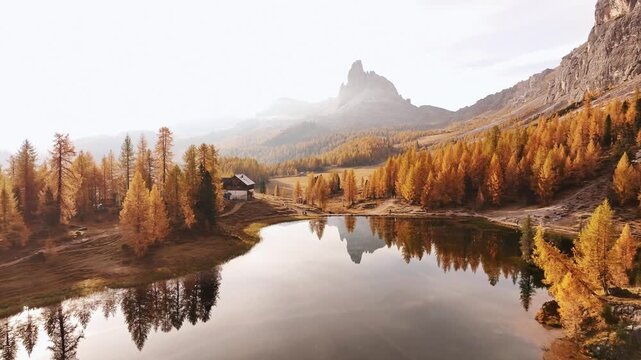 Crystal clear water. Lake Federa near the Croda da Lago mountain at autumn time, majestic landscape, raw nature.