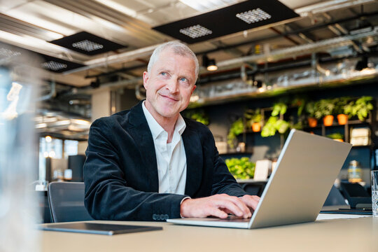 Smiling businessman plans success on laptop in the office