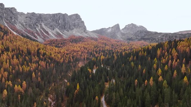 Road in Italy, aerial top view of beautiful nature with bunch of green and yellow trees.