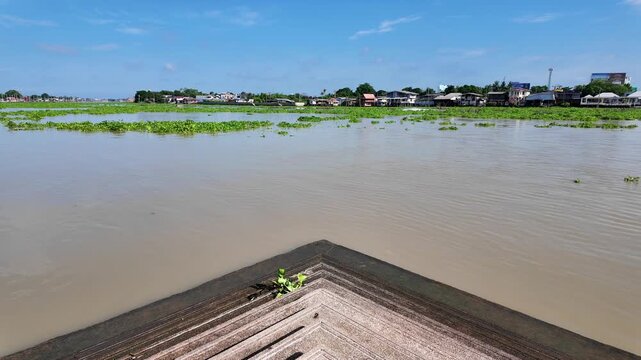 Wide shot from a wooden pier looking across the Chao Phraya River in Pak Kret, Thailand, showing a small boat moving through large patches of floating water hyacinth near a riverside community.