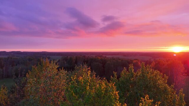 Drone footage captures sunrise over mixed deciduous forest with vibrant purple and pink sky gradient. Slow rightward pan reveals forested valley extending toward distant hills during golden hour.