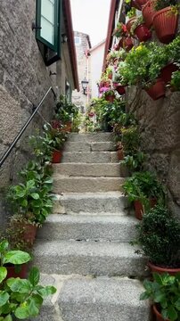 Picturesque narrow alley with stone steps and plants in Combarro Spain