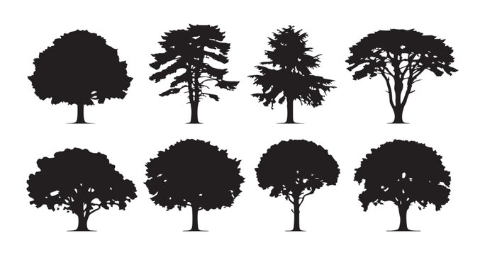 Deciduous tree silhouette collection with various oak maple and elm shapes isolated on transparent background.