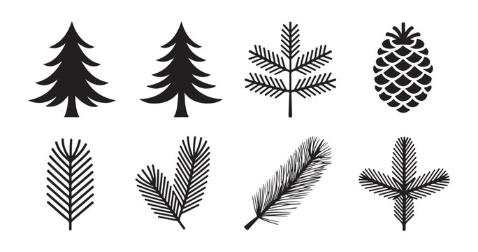 Spruce tree and conifer branch silhouettes with pinecone icons isolated on checked transparent background.
