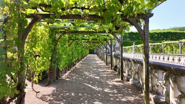 Wooden vineyard pergola and stone arcade overlooking the geometric gardens and Ch&acirc;teau de Villandry in full summer bloom in the Loire Valley, France