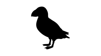 Fototapeta premium Puffin silhouette against a white background simple avian form