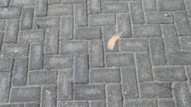 Forward Tracking Shot of Gray Paving Block Ground in Herringbone Pattern with Cement Repair Patch