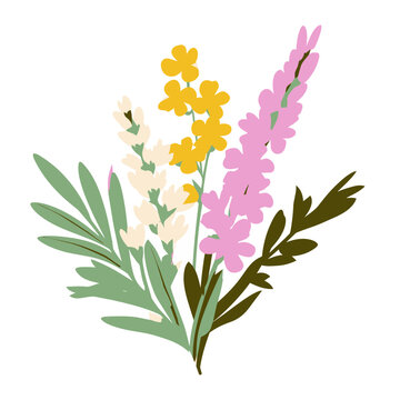 Lavender Blos Flower Illustration