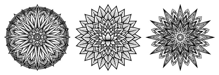 Obraz premium Floral mandalas and geometric stars set in intricate linework style