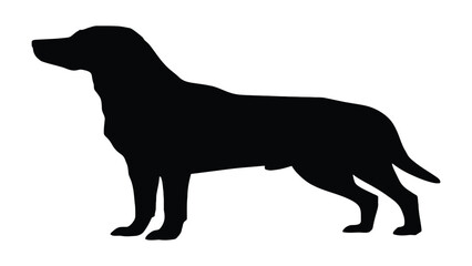 Dog stands in a side profile view as a solid black silhouette isolated on a plain white background. © Sadee Girl