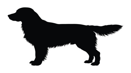 Dog silhouette stands in a profile pose against a clean white background for minimalist design projects. © Sadee Girl