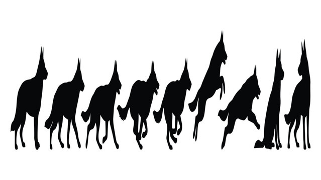 German shepherd dogs are displayed in a series of movement silhouettes showing various active poses.