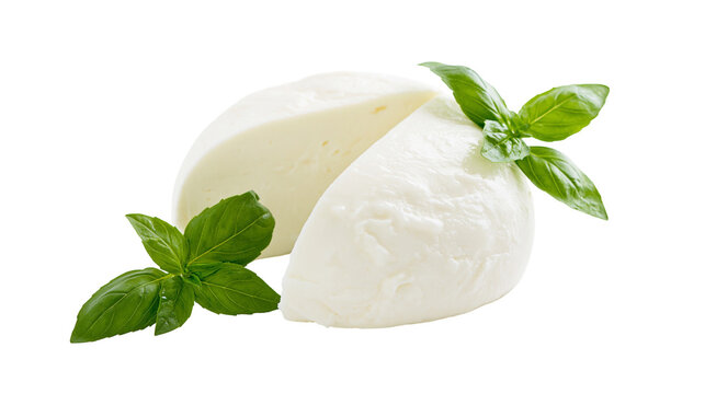 Fresh mozzarella balls with green basil leaves, isolated on transparent background