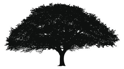 Tree stands as a single, large, dark silhouette of a spreading oak on a white background. © Sadee Girl