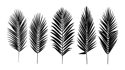 Palm leaves appear as a collection of five distinct black silhouettes arranged horizontally on a white background. © Sadee Girl