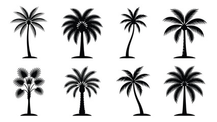 Fototapeta premium Palm trees feature various tropical leaf patterns and trunk styles organized in a clean grid formation.