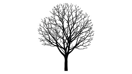 Deciduous tree stands bare with intricate branches reaching out in a black silhouette. © Sadee Girl