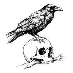 Fototapeta premium Raven perched on human skull with branch in detailed gothic engraving style