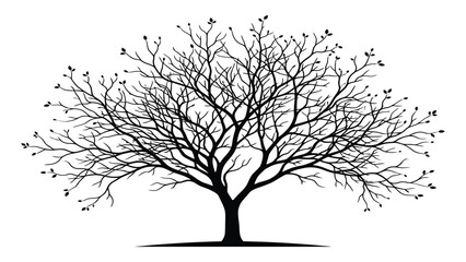 Tree silhouette stands with intricate bare branches spread wide against a stark white background. © Sadee Girl