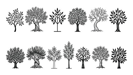 Olive trees appear in an assorted collection of varied black and white botanical illustrations. © Sadee Girl