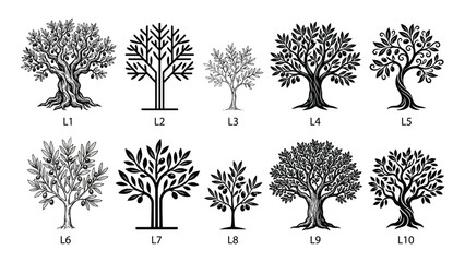 Olive trees are depicted in a set of detailed black and white illustrations labeled with numerical identifiers. © Sadee Girl