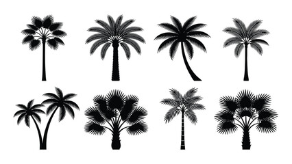 Palm trees are arranged in a collection of diverse black silhouettes isolated on a plain white background. © Sadee Girl