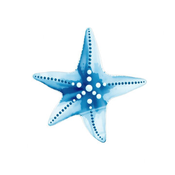 Watercolor blue starfish illustration