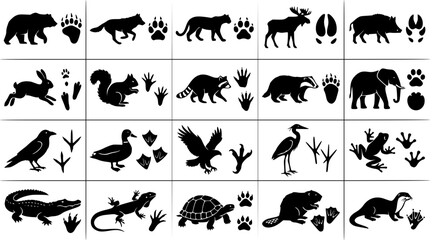 Obraz premium Animal tracking silhouettes featuring footprints and paw prints for identification