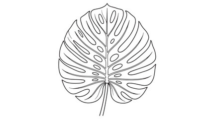 Monstera leaf line art vector, tropical swiss cheese plant foliage illustration, minimalist botanical outline drawing for modern interior design © Muhammad