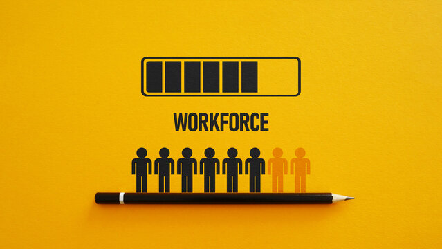Workforce Planning Strategy for Talent Management, Employee Capacity Forecasting, Recruitment Optimization, Skills Analysis, Business Growth, Resource Allocation, and Future Workforce Development
