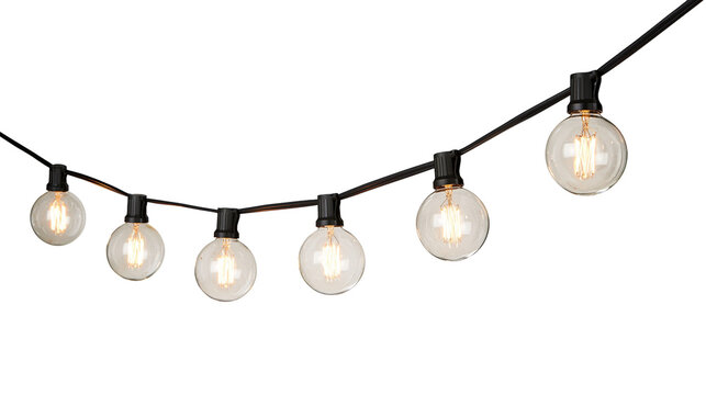 String of clear globe Edison bulbs with black sockets, isolated on transparent background