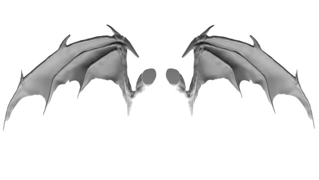 An image showing an example of a bat wing, a fantasy creature, and a wing resembling a dragon's or bat's head on a transparent background. Example of a dragon wing.