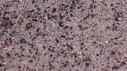 texture of a carpet © Katia Regina 