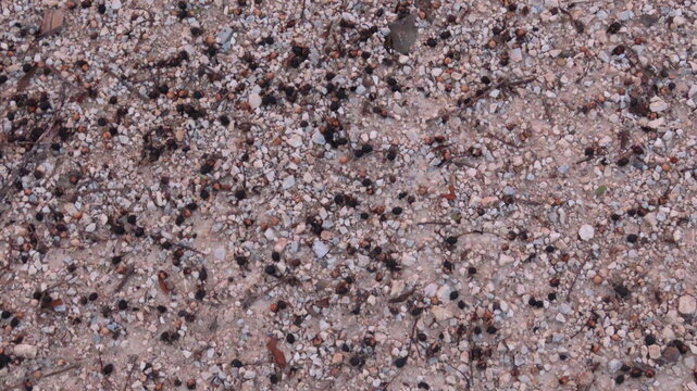 texture of a carpet