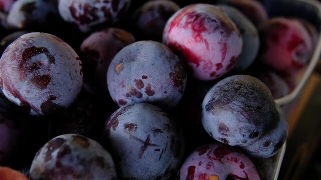 Large ripe plums displayed in close up on farmers market stall with fresh seasonal fruit full of natural color and summer harvest